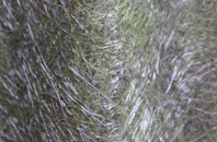 Mullach Charlabhaigh fibreglass roof work